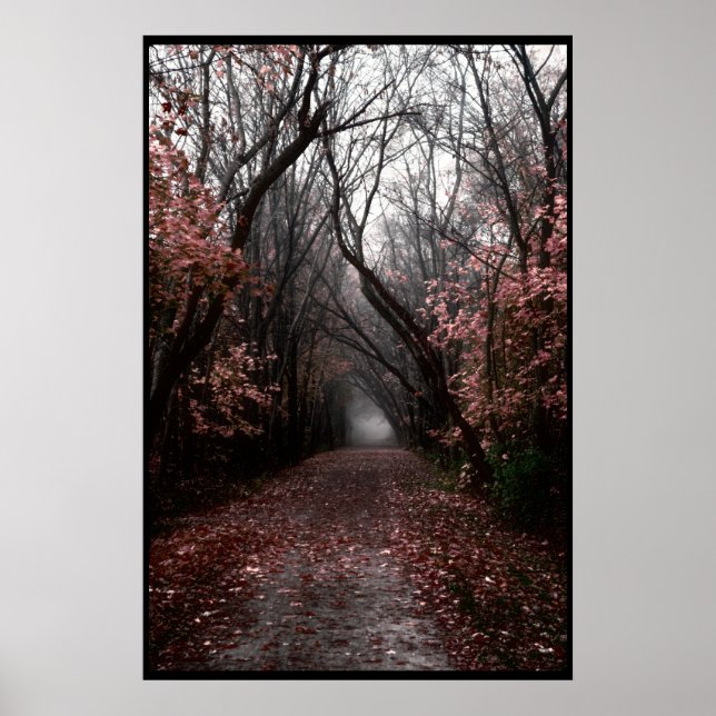 Foggy Fall Trail Poster (Framsidan)