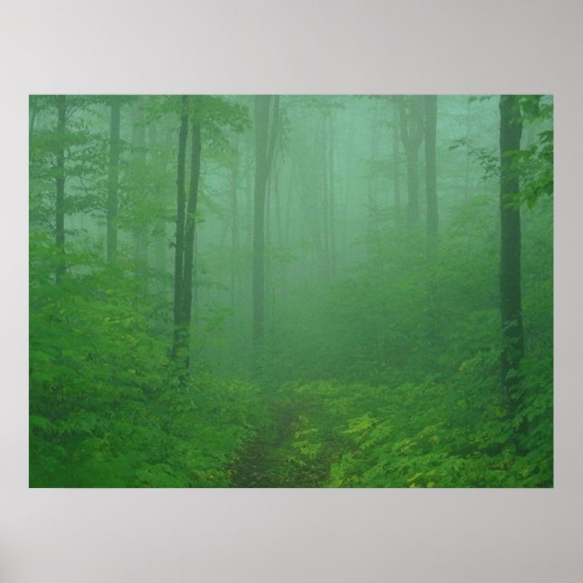 Foggy Forest Poster (Framsidan)
