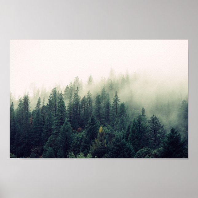 Foggy Forest Poster (Framsidan)