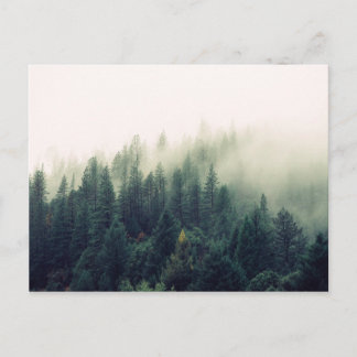 Foggy Forest Vykort
