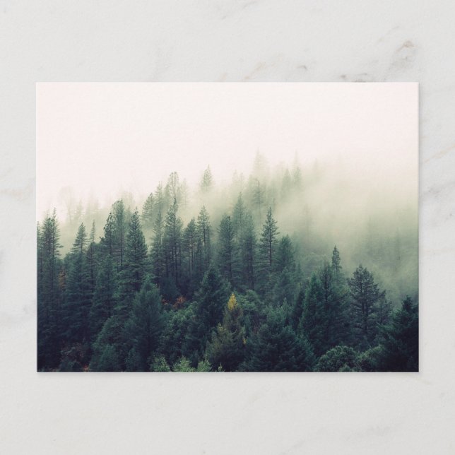 Foggy Forest Vykort (Framsida)