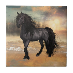 Foggy Friesian Morgon Kakelplatta