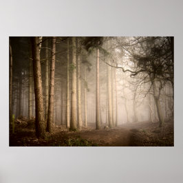 Foggy God morgon Rushmere Land Park (nr 0842) Poster