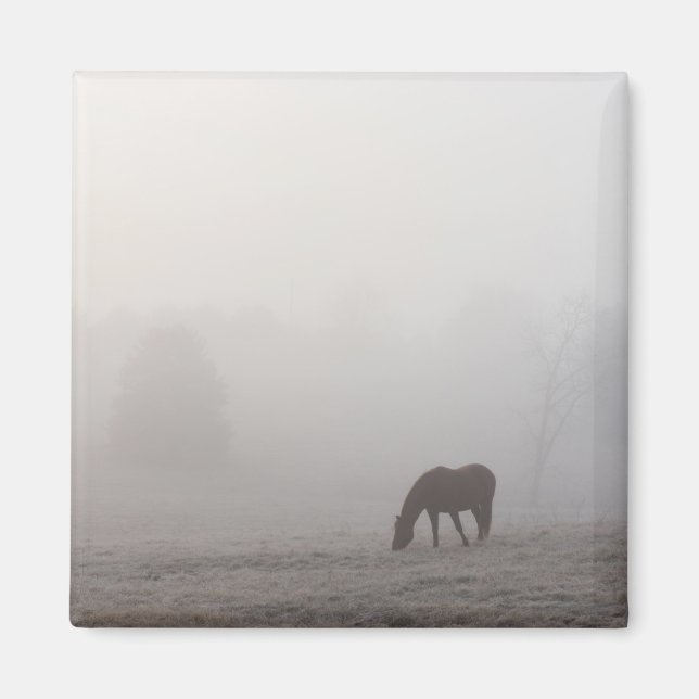 Foggy Grazing Magnet (Framsidan)