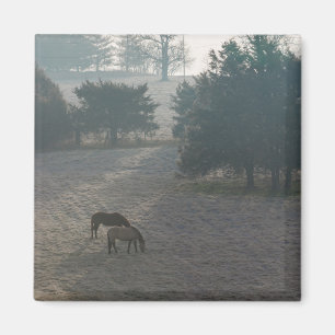 Foggy Grazing Magnet