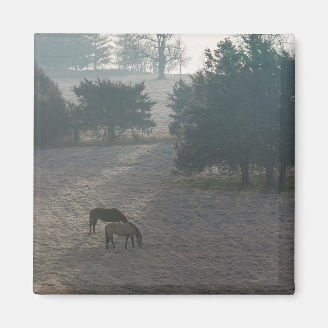 Foggy Grazing Magnet (Framsidan)