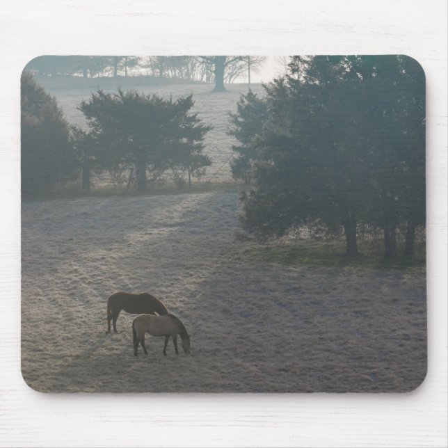 Foggy Grazing Musmatta (Framsidan)
