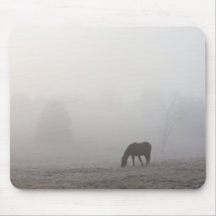 Foggy Grazing Musmatta