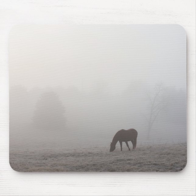 Foggy Grazing Musmatta (Framsidan)