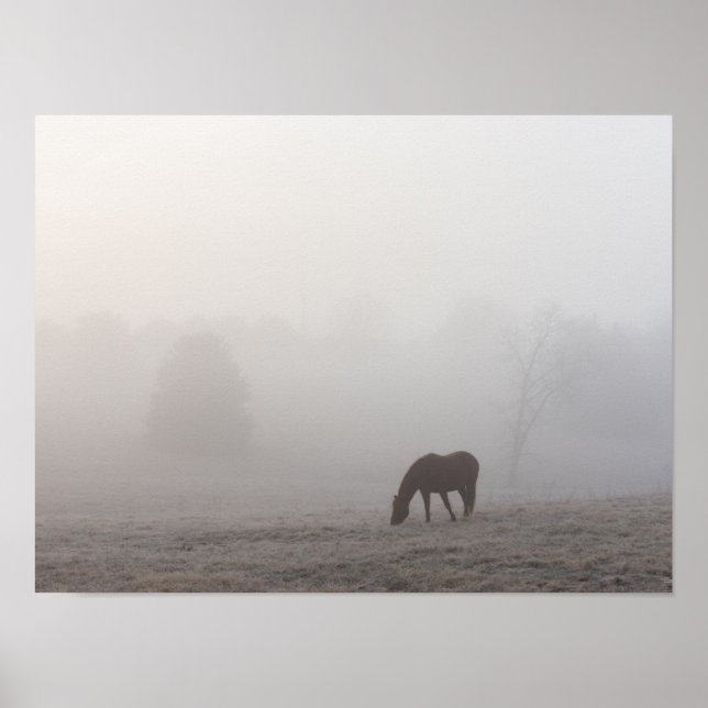 Foggy Grazing Poster (Framsidan)