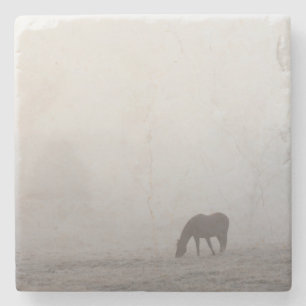 Foggy Grazing Stenunderlägg