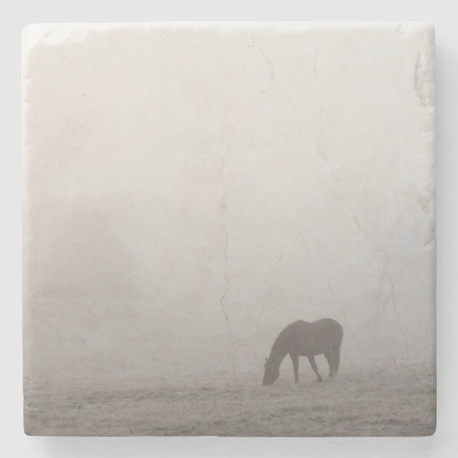 Foggy Grazing Stenunderlägg (Framsidan)