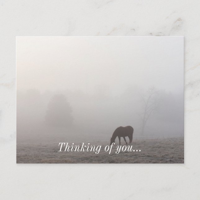 Foggy Grazing Vykort (Framsida)