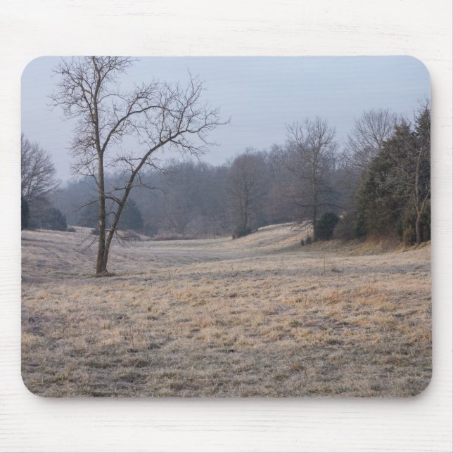 Foggy Meadow Musmatta (Framsidan)