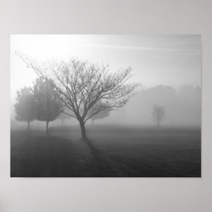 Foggy Misty Morgon i Ozarks Poster