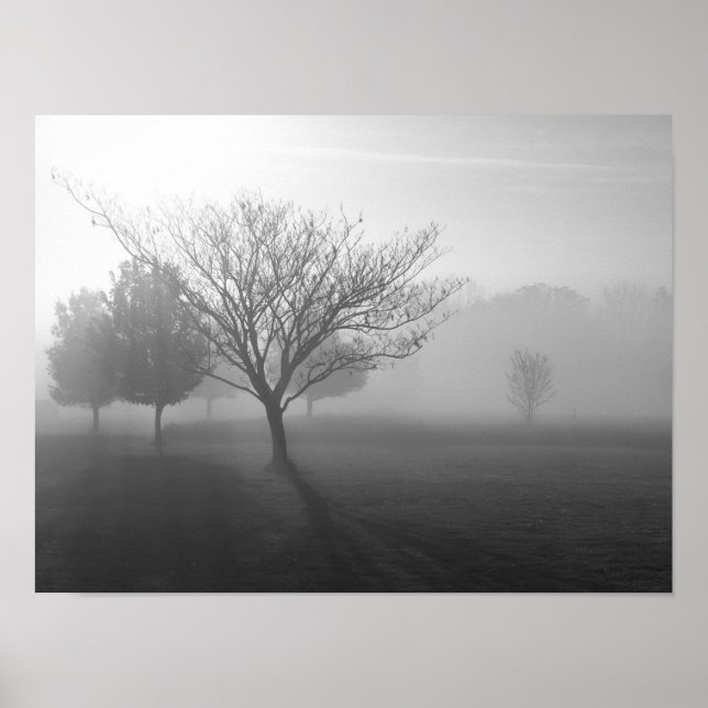 Foggy Misty Morgon i Ozarks Poster (Framsidan)