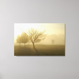 Foggy Misty Morgon på Ozarks Canvas
