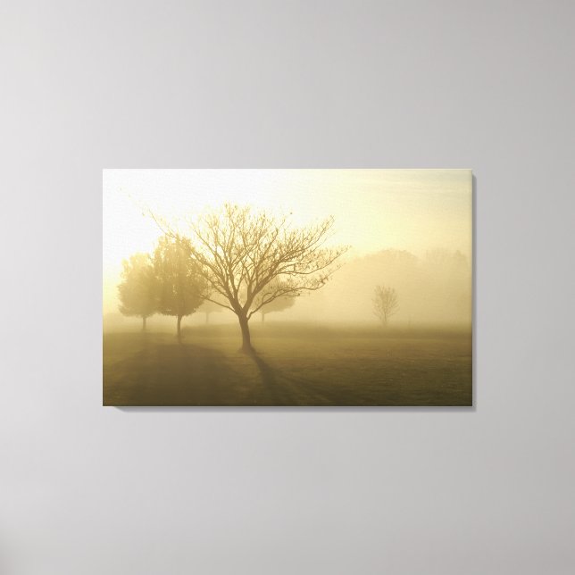 Foggy Misty Morgon på Ozarks Canvas (Framsida)