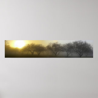 Foggy Morgans Panoramic Poster