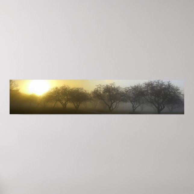 Foggy Morgans Panoramic Poster (Framsidan)
