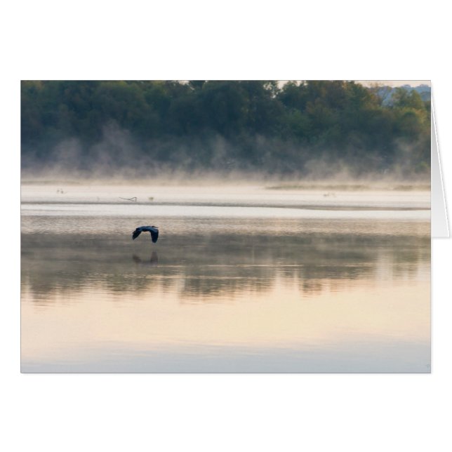 Foggy Morglight OBS Kort (Framsidan Horizontal)