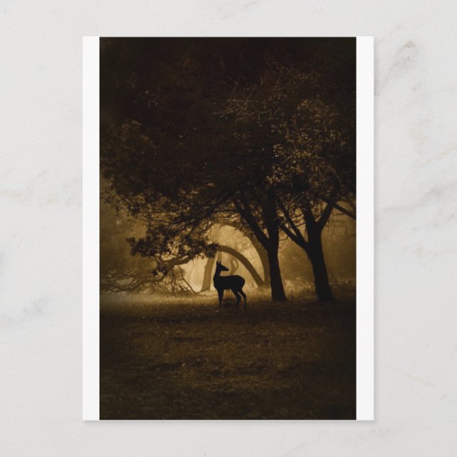 Foggy Morgon Vykort (Framsida)