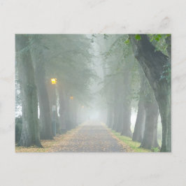 Foggy Morgon Vykort
