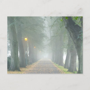 Foggy Morgon Vykort