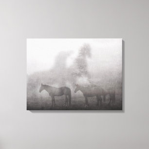 Foggy Morning Horse Canvastryck