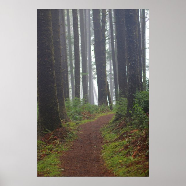 Foggy morning, (Semi-Gloss) Poster (Framsidan)