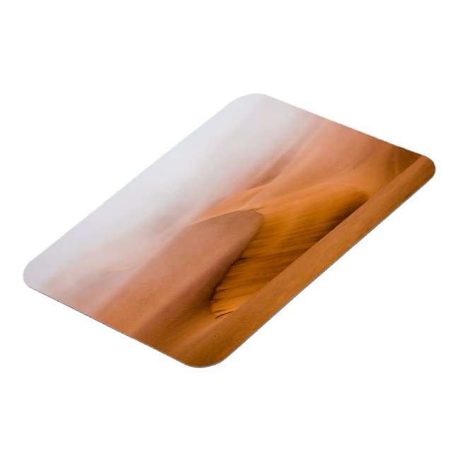 Foggy Namib Desert Magnet (Vänstra Sidan)