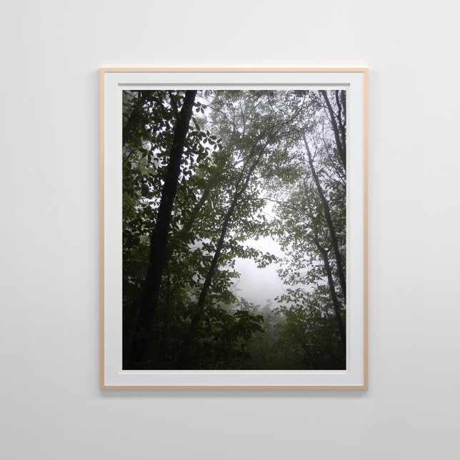 Foggy Pacific Dogwood Forest Poster (Skapare uppladdad)