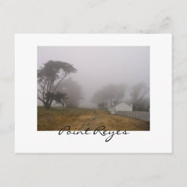 Foggy Point Reyes-vykort Vykort