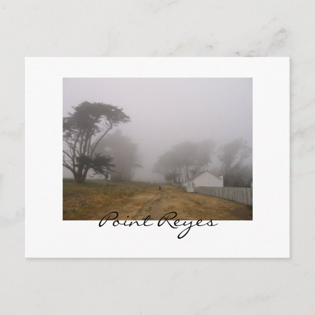 Foggy Point Reyes-vykort Vykort (Framsida)