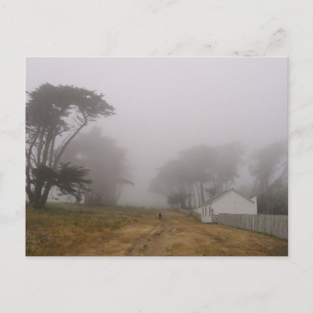 Foggy Point Reyes-vykort Vykort (Framsida)