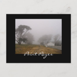 Foggy Point Reyes-vykort Vykort