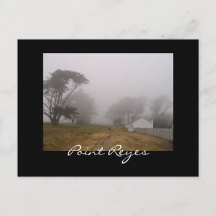 Foggy Point Reyes-vykort Vykort