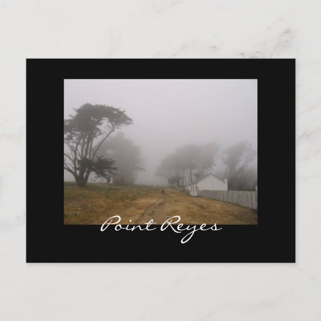 Foggy Point Reyes-vykort Vykort (Framsida)