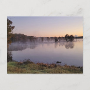 foggy sjö vykort