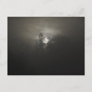 Foggy skogen vykort