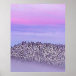 Foggy snö täckt grisskog vid solnedgång poster