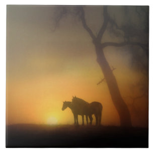 Foggy Sunrise Horses and Oaktree Kakelplatta