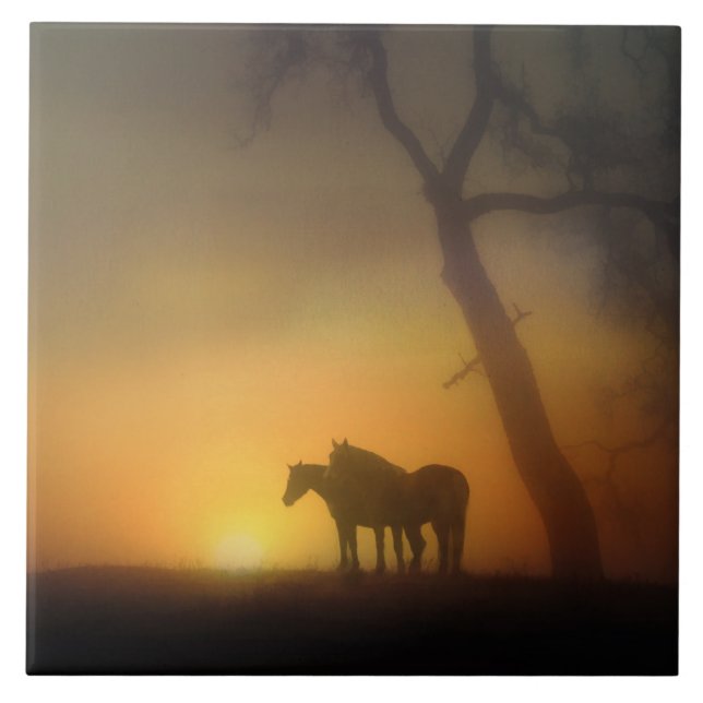 Foggy Sunrise Horses and Oaktree Kakelplatta (Framsidan)