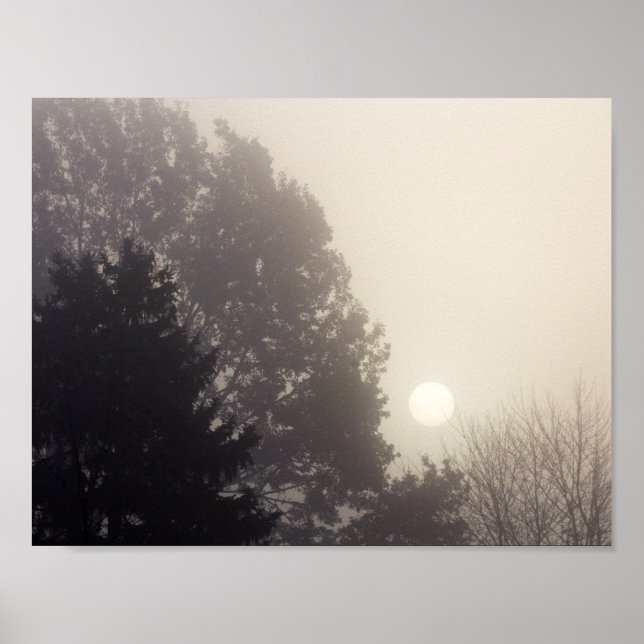 Foggy Sunrise Poster (Framsidan)