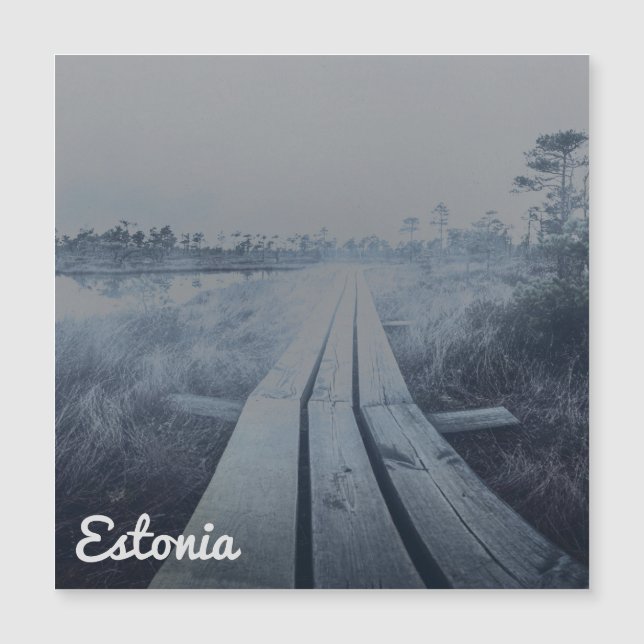 Foggy swamp liggande (Framsida)