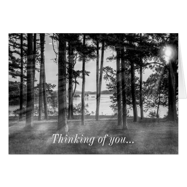 Foggy Träd Bord Sten Gråskala Tankning av dig OBS Kort (Framsidan Horizontal)