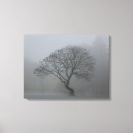 Foggy Träd Canvastryck