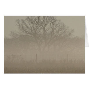 Foggy Träd Hälsningskort