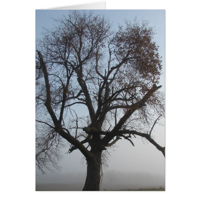 Foggy Träd i Iowa Hälsningskort (Framsidan)