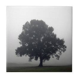 Foggy Träd Kakelplatta